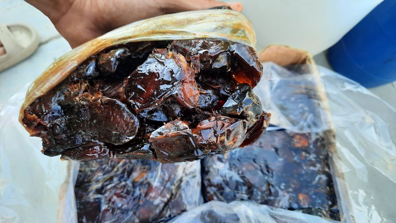 بسته بندی سنتی خرما بوستانی